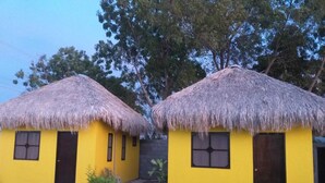 Two yellow huts with thatched roofs and wooden doors, surrounded by trees. - La Regional (Loreto)