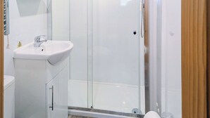 A modern bathroom with a glass shower enclosure, a white sink, and a toilet.