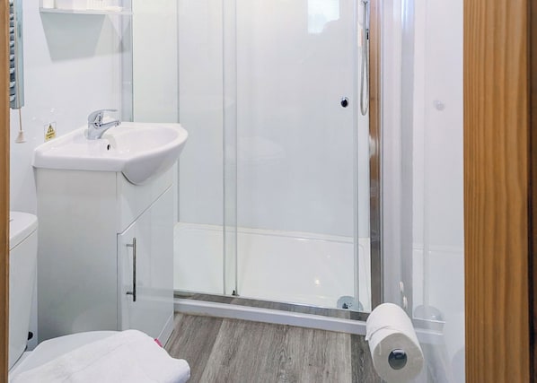 A modern bathroom with a glass shower enclosure, a white sink, and a toilet.