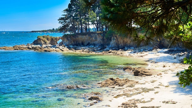 A beach with clear turquoise water, rocky shoreline, and trees. - 100 m from the beach, 2 adults and 2 children (Fouesnant)