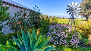 Un jardín con un molino, diversas plantas y un edificio al fondo.