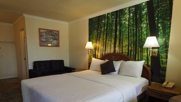 Habitación de hotel con una cama grande, dos lámparas de noche, una mesita de noche con teléfono, un sillón negro y un mural de temática forestal.