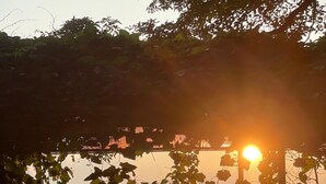 A person standing in a garden with a wooden deck and a view of the sunset.