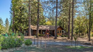A cabin surrounded by tall pine trees, with a clear sky above.