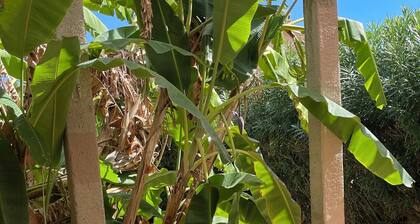 Son Floriany - House with private pool and lounge