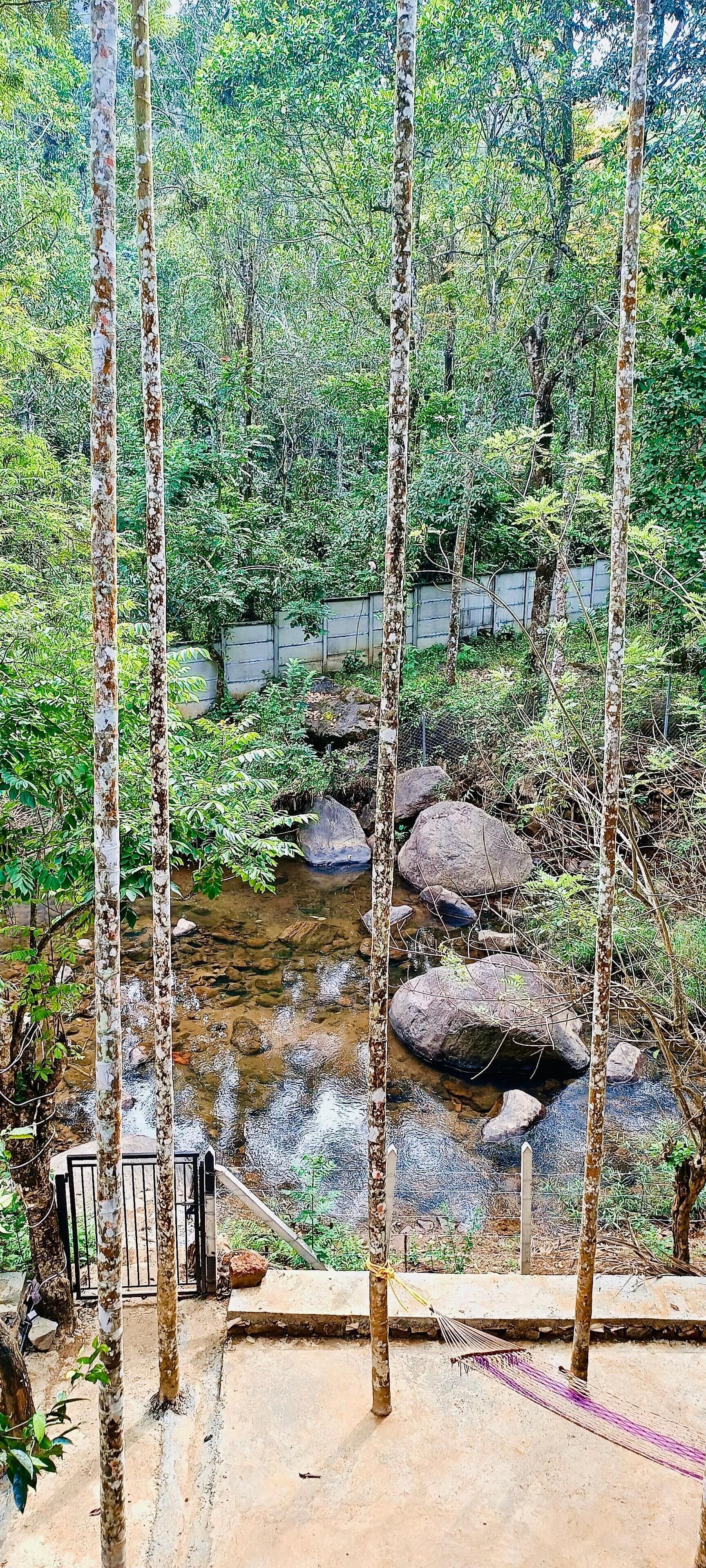 A natural setting with a stream, rocks, and trees.