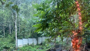 Outdoor dining - SR Villa - Serenity Riverside (Vythiri)