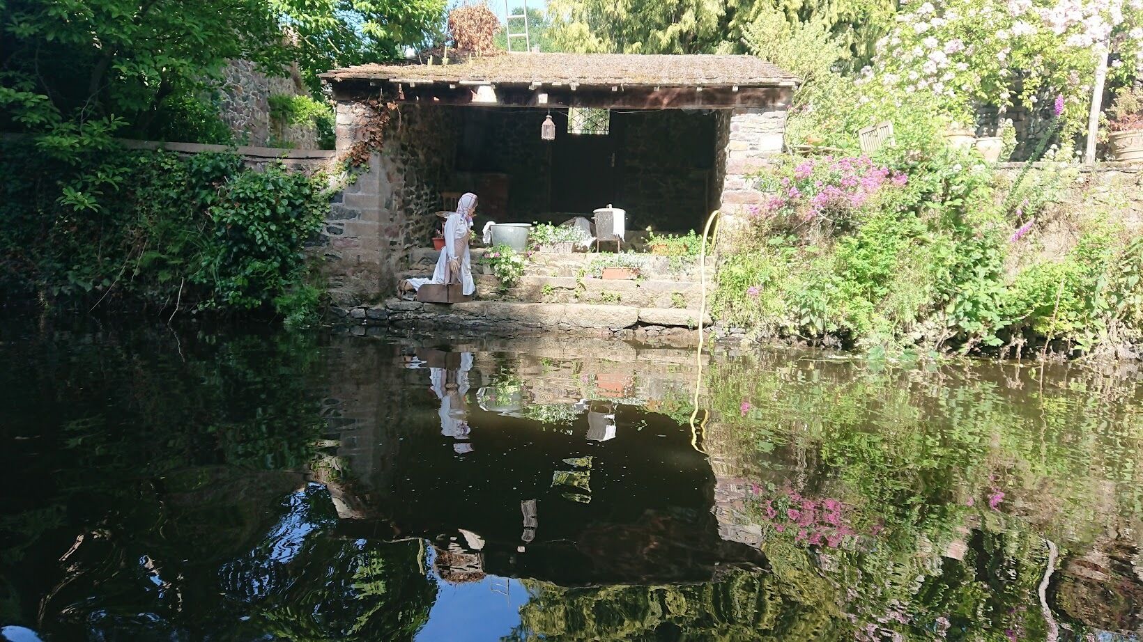 منوع