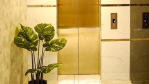 An elevator with a metallic finish, a potted plant, and a marble wall. - Mountain View Tourist Home (Thamarassery)