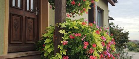 Details aan de buitenkant