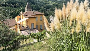 A yellow building with a tower, surrounded by greenery and pampas grass. - Cosy apartment for 4 people with WIFI, pool, TV, patio and pets allowed (Dolcedo)