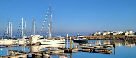 A marina with several sailboats docked, a wooden pier, and a row of houses in the background.