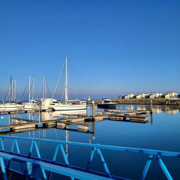 Un puerto deportivo con varios veleros amarrados, un muelle de madera y una hilera de casas al fondo.