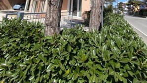 Un edifici de diversos pisos amb balcons, un aparcament i un bord a l'avantguarda ben cuidat.