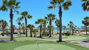 Un terrain de golf bordé de palmiers, avec un drapeau et un ciel d’un bleu limpide.