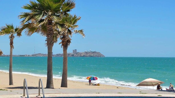 Une vue sur la piscine, avec des palmiers, une plage et une île au loin.