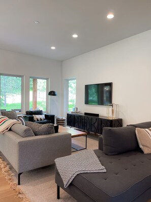 Smart TV, fireplace, books