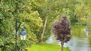 A park with a lamppost, a pond, and a tree with purple leaves. - Charming 4-Bedroom Cottage with Modern Comfort (Haroué)