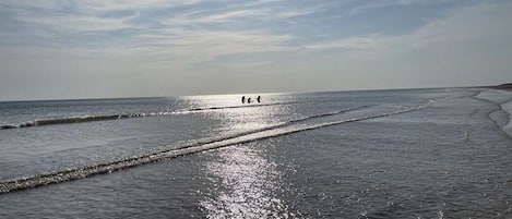 Nær stranden