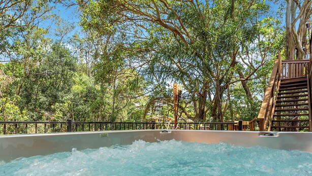 Un bain à remous entouré d’une végétation luxuriante et doté d’une terrasse en bois.