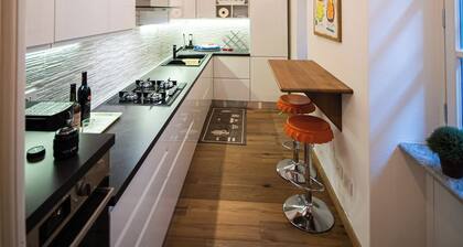 House of Count Maximilian Roero. Magnificent appart in the heart of the Old Town