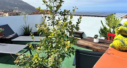 The Happy Little Canary Home! 💛Central location between ocean and mountains!