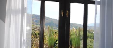 House | View from property