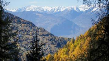 Eine Berglandschaft mit schneebedeckten Gipfeln im Hintergrund und im Vordergrund herbstlich gefärbten Bäumen.