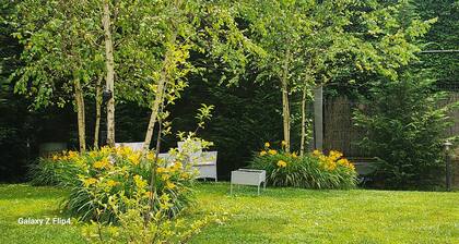 Comfort apartment Malpensa check in 24/7 with parking space