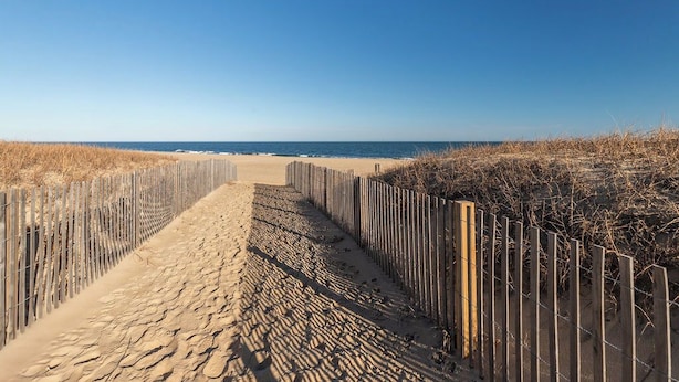 Un sendero arenoso que lleva a la playa, bordeado por cercas de madera y hierba seca.