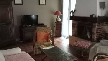 TV connectée, lecteur de DVD, livres