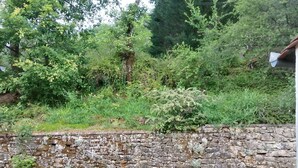 A stone wall with a grassy area in front. - Quiet house with garden Montignac Lascaux (Montignac-Lascaux)