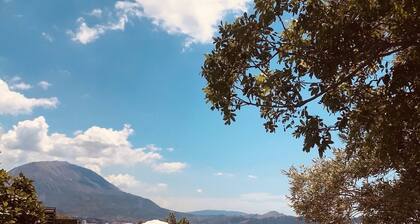 Holiday house with sea view