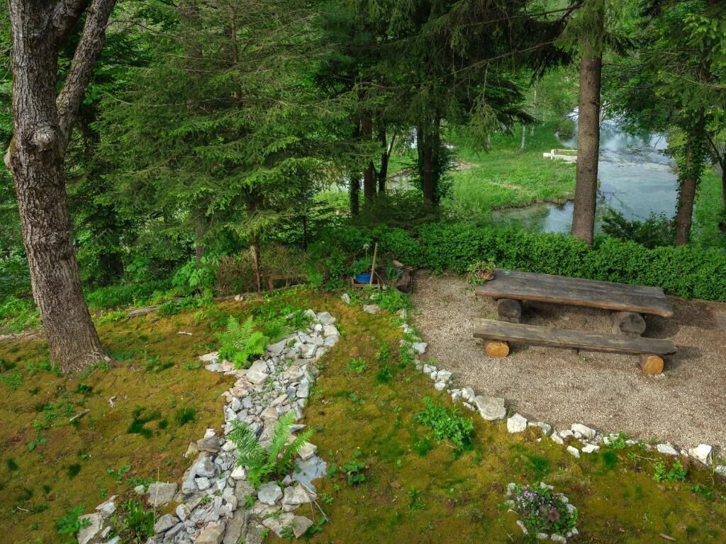 A natural outdoor area with a wooden bench, a small stream, and dense greenery.