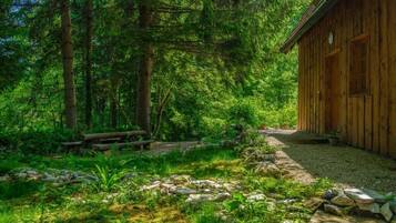 A rustic wooden cabin surrounded by dense forest.