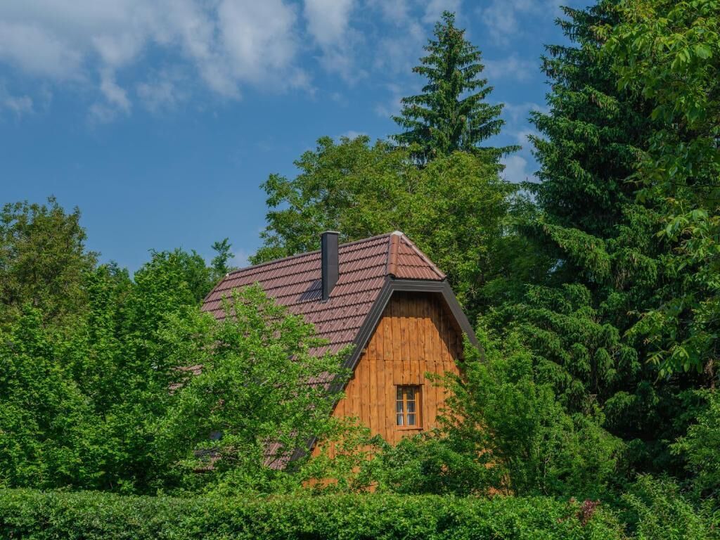 A wooden cabin with a sloped roof, surrounded by dense green foliage.