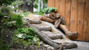 A wooden fence with a wooden ramp leading up to a door. - Yeti Cabin (Plitvicka Jezera)