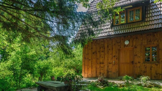 A wooden cabin with a tiled roof, surrounded by dense greenery. - Yeti Cabin (Plitvicka Jezera)