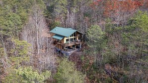 Eine Hütte, umgeben von dichtem Wald, mit grüner Dachbegrünung und einer Terrasse.