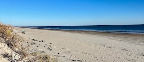 On the beach, sun-loungers