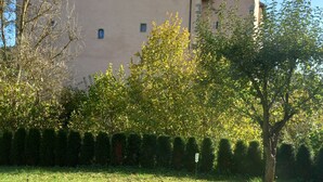 A building with a tower, surrounded by a well-maintained lawn and trees. - Sylvia's castle view (Trausnitz)