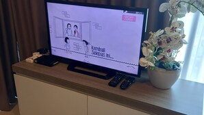 Un televisor mostrando una caricatura, un control remoto y una orquídea en maceta sobre una encimera de madera.