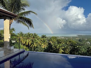 A pool with a view of the ocean and palm trees.