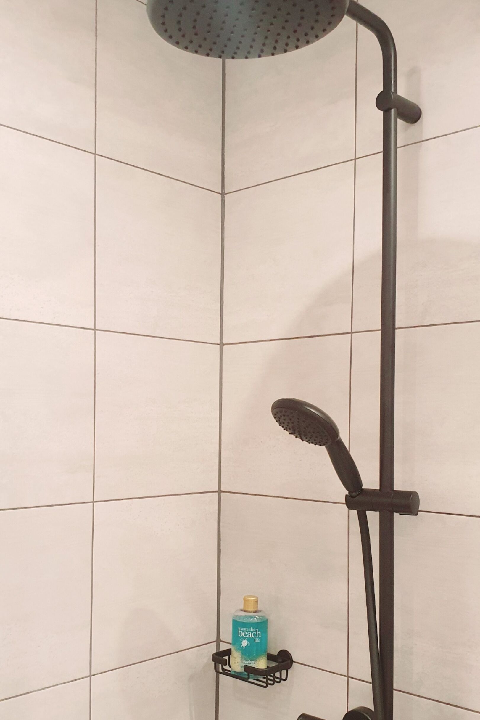 A shower area with a handheld showerhead and a wall-mounted showerhead. A bottle of beach lotion is visible on a rack.