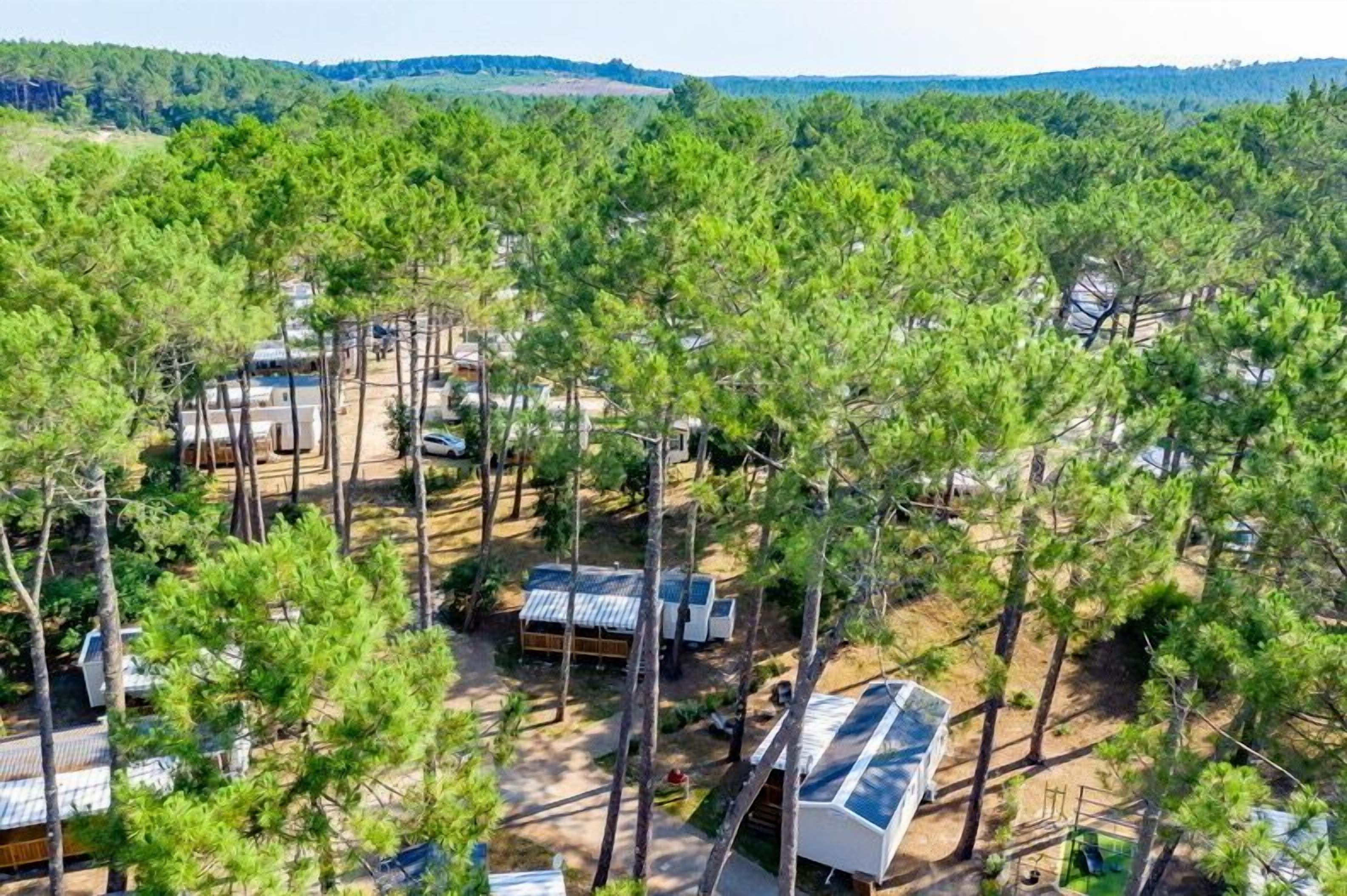 A campground with multiple cabins surrounded by dense pine trees.