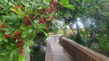 Enceinte de l’hébergement