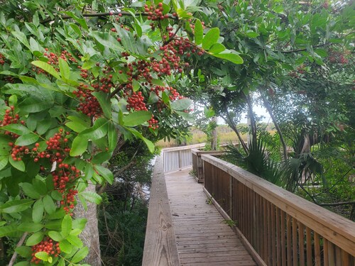 Charming 1-bedroom cottage in Ramblers Rest Resort Venice FL