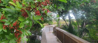 Charming 1-bedroom cottage in Ramblers Rest Resort Venice FL