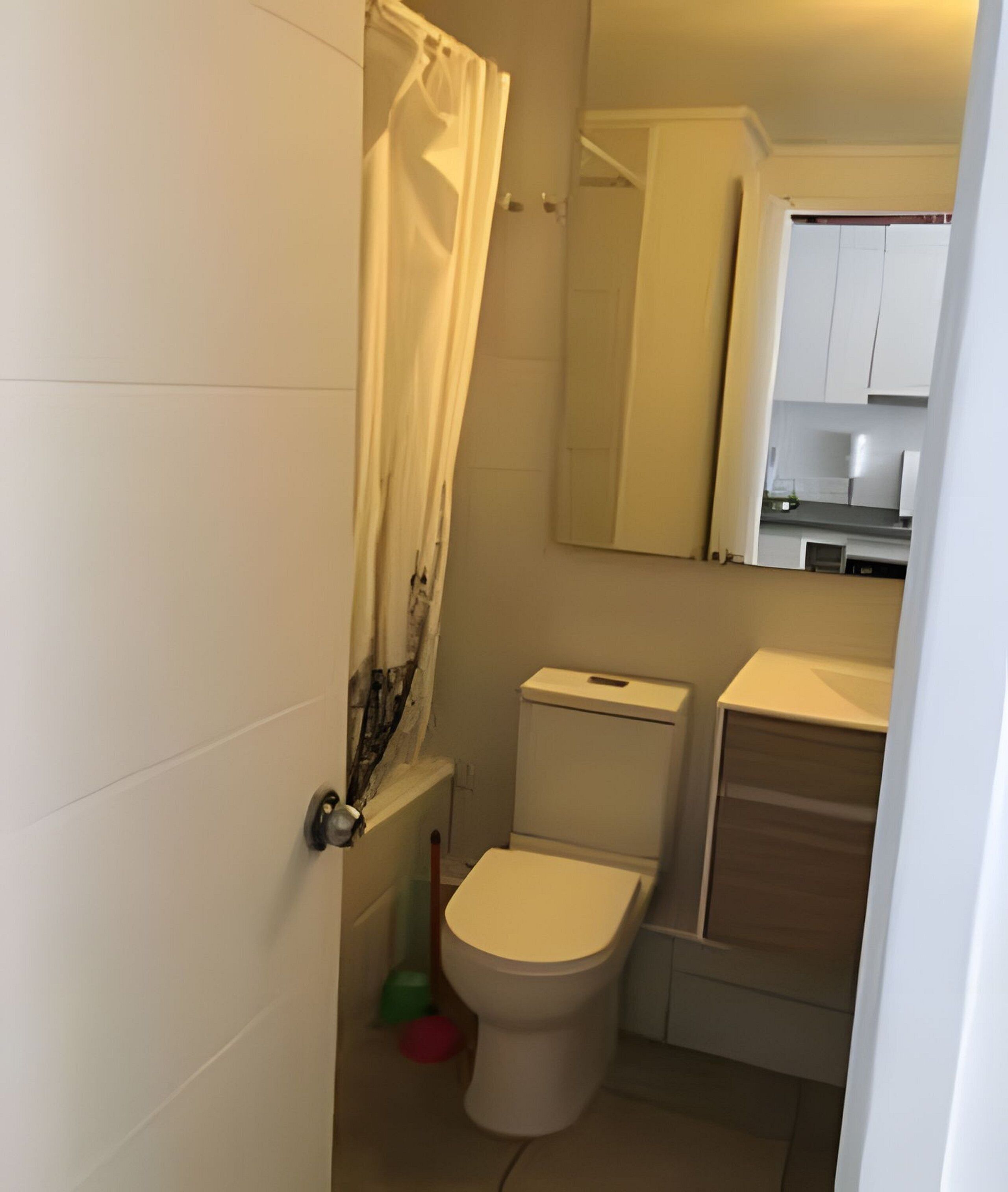 A small, compact bathroom with a toilet, a shower curtain, and a mirror above the sink.