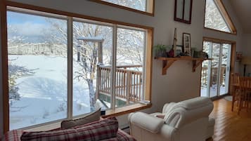 TV, fireplace, video games, DVD player